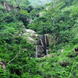 Chethalayam Waterfall Wayanad 